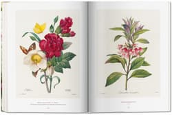 Galeria - zdjęcie nr. 5 - Redouté. The Book of Flowers