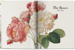 Galeria - zdjęcie nr. 4 - Redouté. The Book of Flowers