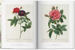Galeria - zdjęcie nr. 3 - Redouté. The Book of Flowers