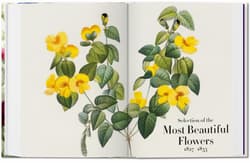 Galeria - zdjęcie nr. 5 - Redouté. The Book of Flowers wer. angielska
