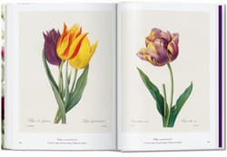 Galeria - zdjęcie nr. 2 - Redouté. The Book of Flowers wer. angielska