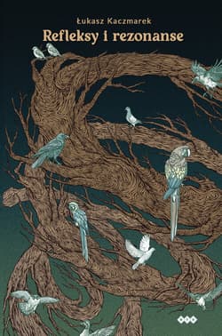 Refleksy i rezonanse - Łukasz Kaczmarek