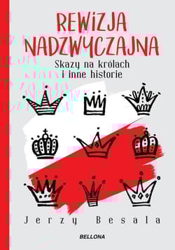 Rewizja nadzwyczajna. Skazy na królach i inne historie - Jerzy Besala