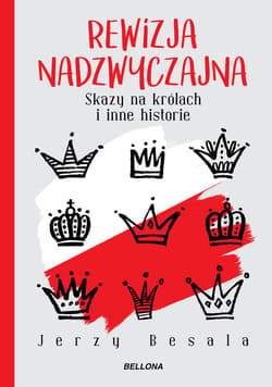 Rewizja nadzwyczajna. Skazy na królach i inne historie - ebook - Jerzy Besala