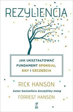 Rezyliencja Jak ukształtować fundament spokoju, siły i szczęścia - Hanson Rick, Hanson Forrest