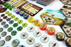 Galeria - zdjęcie nr. 4 - Robinson Crusoe Przygoda na przeklętej wyspie