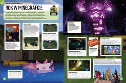 Galeria - zdjęcie nr. 3 - Rocznik 2023. Minecraft