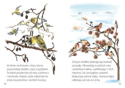 Galeria - zdjęcie nr. 2 - Rodziny zwierząt. Młodzi przyrodnicy