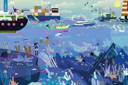 Galeria - zdjęcie nr. 2 - Rok nad morzem