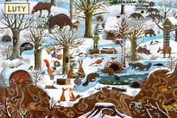 Galeria - zdjęcie nr. 2 - Rok w lesie