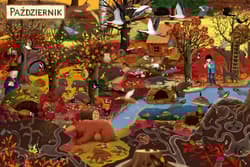 Galeria - zdjęcie nr. 3 - Rok w lesie