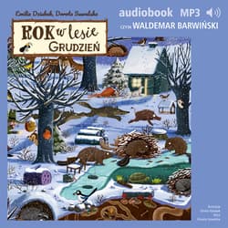 Rok w lesie. Grudzień - audiobook - Dorota Suwalska
