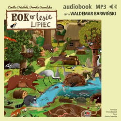 Rok w lesie. Lipiec - audiobook - Dorota Suwalska