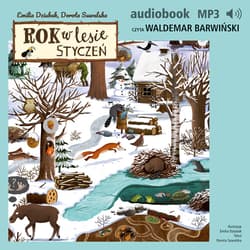 Rok w lesie. Styczeń - audiobook - Dorota Suwalska