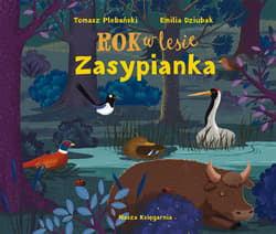 Rok w lesie. Zasypianka - Emilia Dziubak