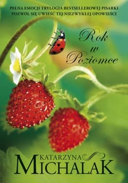 Rok w poziomce (wyd. 2023) - Katarzyna Michalak