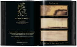 Galeria - zdjęcie nr. 4 - Romeyn B. Hough. The Woodbook. The Complete Plates
