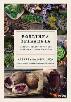 Roślinna spiżarnia. Kiszonki, syropy, konfitury i przyprawy z dzikich roślin - Katarzyna Mikulska