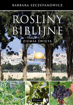 Rośliny biblijne Ziemia święta - Barbara Szczepanowicz