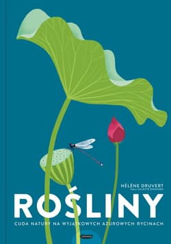 Rośliny. Cuda natury na wyjątkowych ażurowych rycinach - Juliette Einhorn