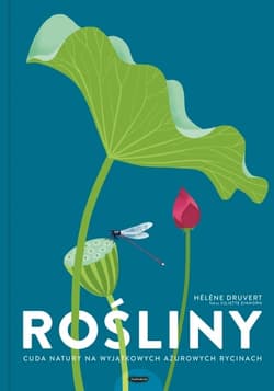 Rośliny. Cuda natury na wyjątkowych ażurowych rycinach - Juliette Einhorn