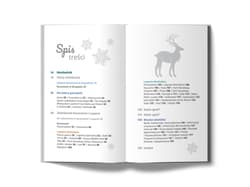 Galeria - zdjęcie nr. 3 - Rovaniemi i Laponia. Pascal Lajt