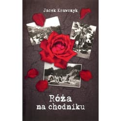 Róża na chodniku - Jacek Krawczyk