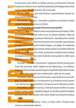 Rozdeptałem czarnego kota przez przypadek