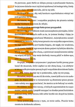 Rozdeptałem czarnego kota przez przypadek [2025] - Filip Zawada