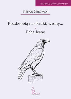 Rozdziobią nas kruki, wrony…, Echa leśne - ebook - Stefan Żeromski