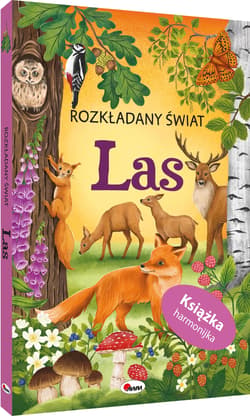 Rozkładany świat. Las - Opracowanie Zbiorowe