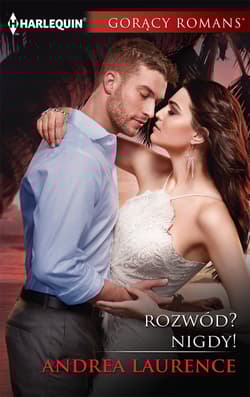 Rozwód Nigdy Gorący Romans - Andrea Laurence