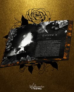 Galeria - zdjęcie nr. 2 - Ruined Secrets (ilustrowane brzegi)