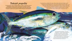 Galeria - zdjęcie nr. 2 - Ryby. Modele 3D. Młodzi przyrodnicy