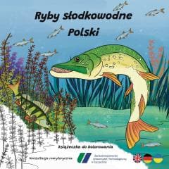 Ryby słodkowodne w Polsce - książeczka do kolorowa - Ksenia Potępa