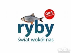 Ryby Świat wokół nas - Kasia Jacobson