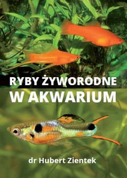 Ryby żyworodne w akwarium - Hubert Zientek