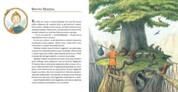 Galeria - zdjęcie nr. 2 - Rycerze i smoki