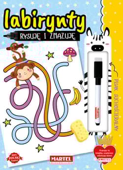 Rysuję i zmazuję Labirynty - Katarzyna Salamon