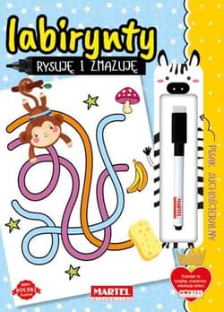 Rysuję i zmazuję Labirynty - Katarzyna Salamon