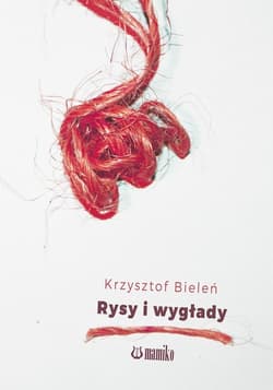 Rysy i wygłady