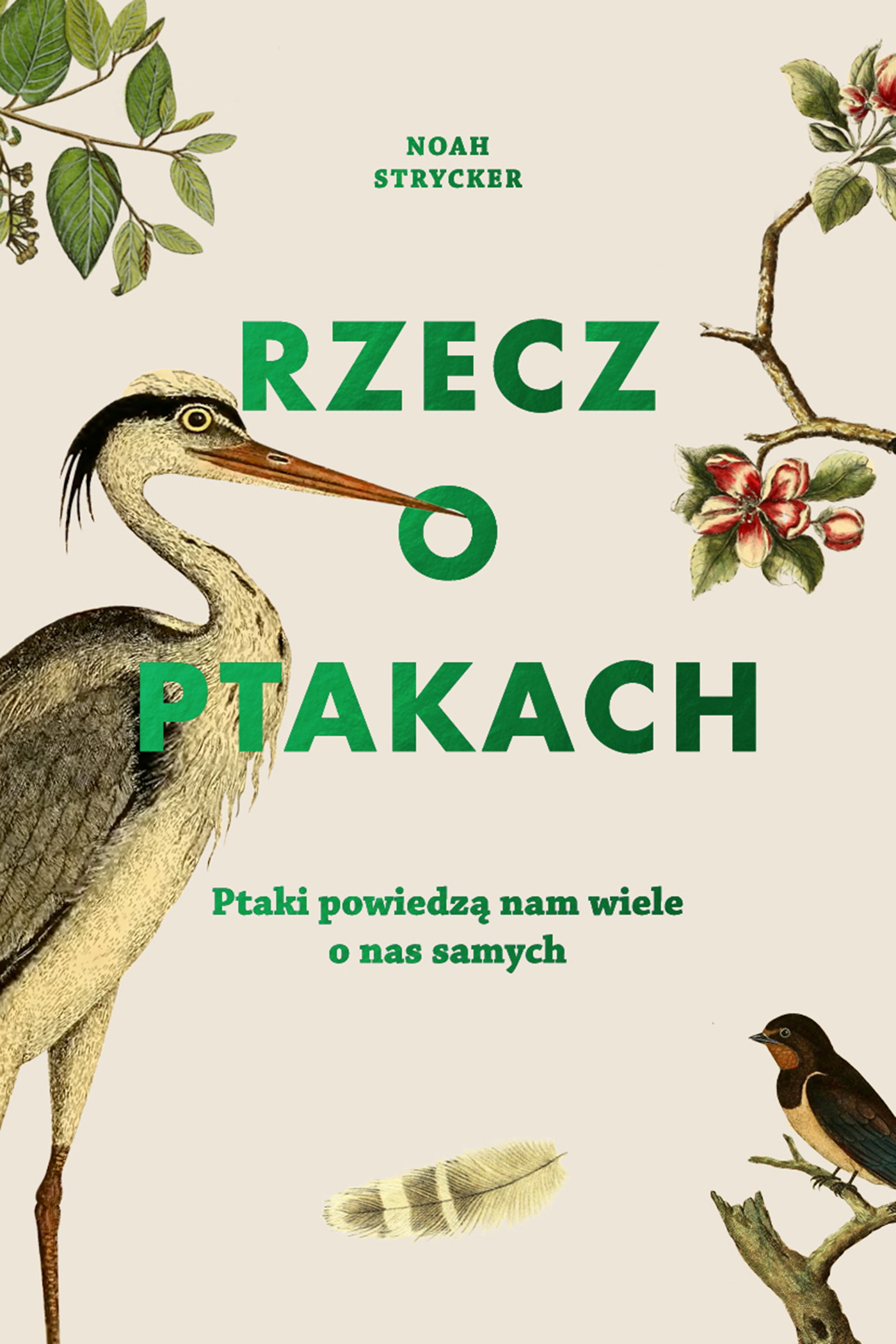 Rzecz o ptakach - Noah Strycker