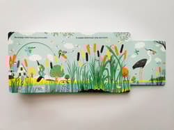 Galeria - zdjęcie nr. 3 - Rzeka. Akademia Mądrego Dziecka. Niesamowity spacer