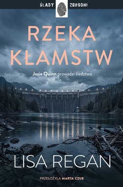 Rzeka kłamstw - ebook - Regan Lisa