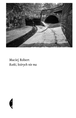 Rzeki, których nie ma - ebook - Maciej Robert