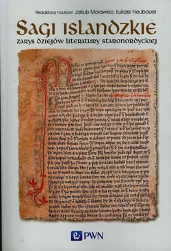 Sagi islandzkie Zarys dziejów literatury staronordyckiej - Jakub Morawiec,  Neubauer Łukasz