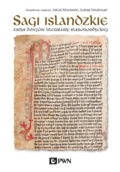 Sagi islandzkie Zarys dziejów literatury staronordyckiej - Jakub Morawiec,  Neubauer Łukasz