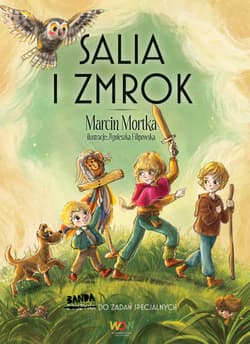 Salia i Zmrok. Banda do zadań specjalnych - Marcin Mortka