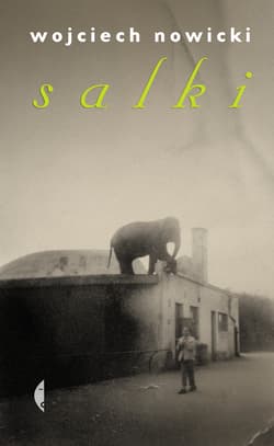 Salki - ebook - Wojciech Nowicki