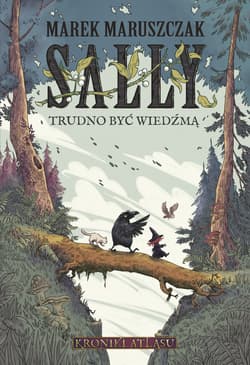 Sally. Trudno być wiedźmą - ebook - Marek Maruszczak